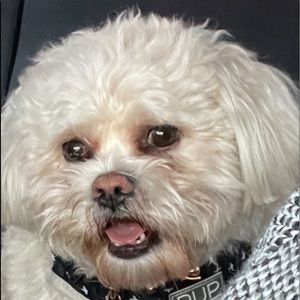 Meet your Posher, Lynn